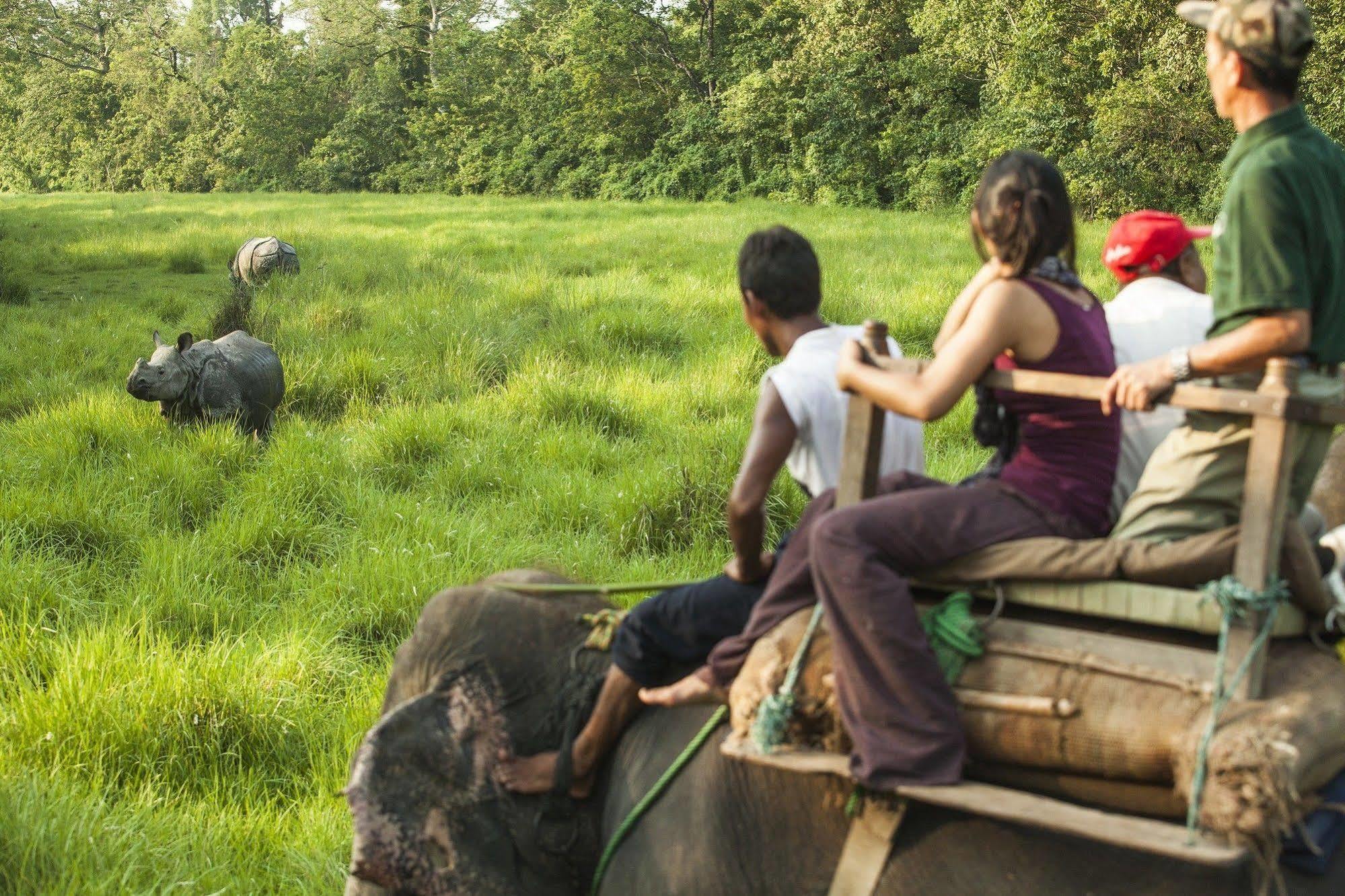 Green Mansions Jungle Resort Sauraha Ngoại thất bức ảnh