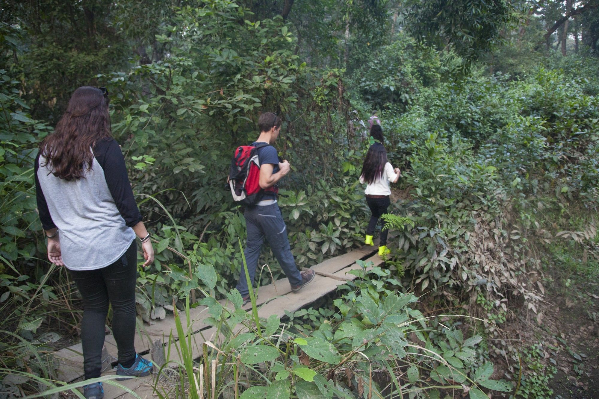 Green Mansions Jungle Resort Sauraha Ngoại thất bức ảnh